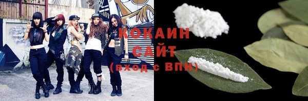 мет Дмитров