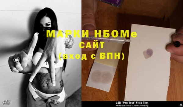 хмурый Гусев