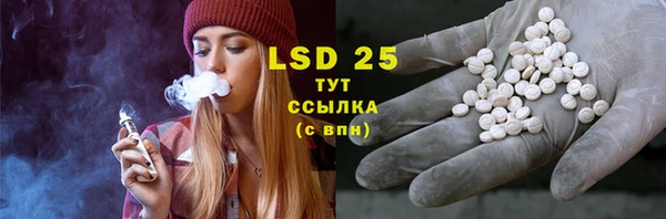 стаф Горняк