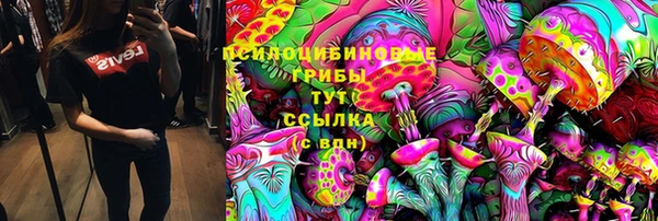 соль курить ск Горно-Алтайск