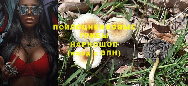 стаф Горняк