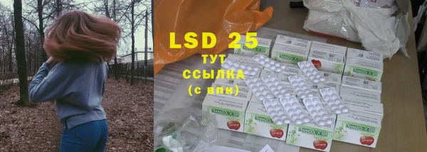 стаф Горняк