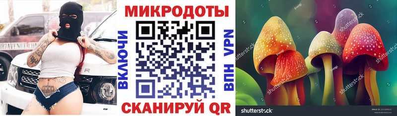 что такое Далматово Галлюциногенные грибы ЛСД